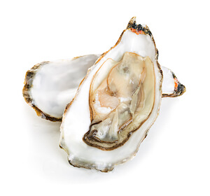 Oysters contain D-Aspartic Acid