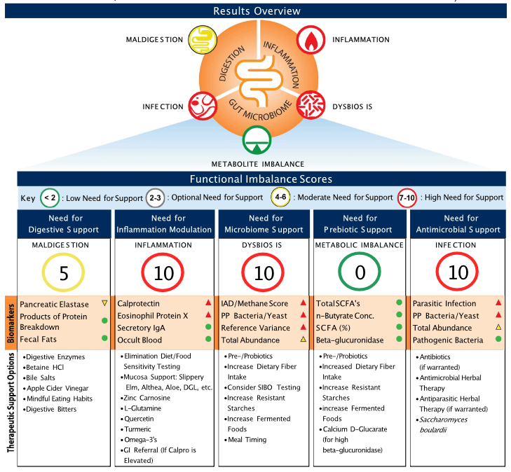 gut health test and stool test report