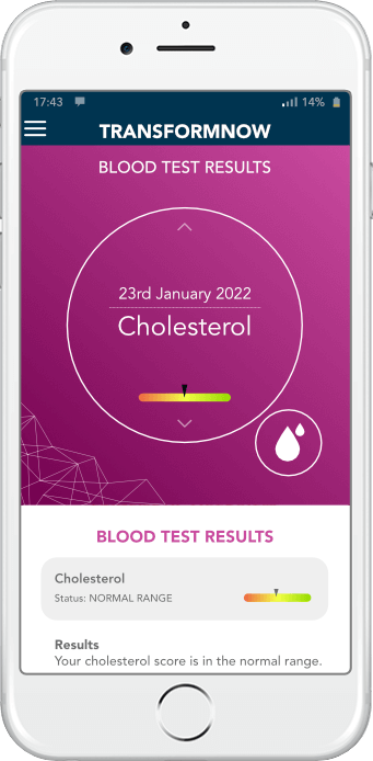 blood test results - cholesterol app display