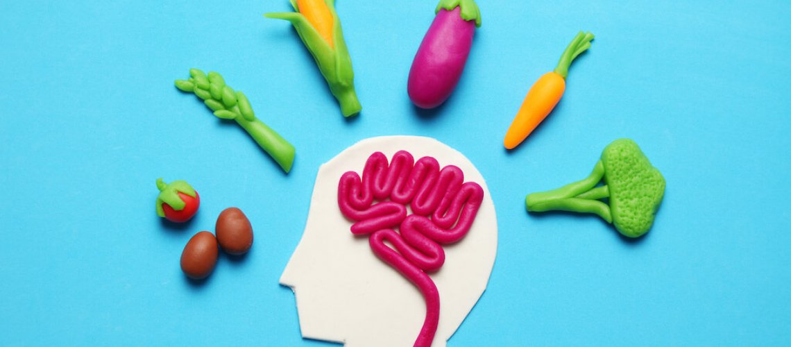 Gut microbiome and mental health